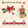 BBeary Christmas Dog Toys - Rope Reindeer Durable Squeaky Plush Dog Toy for Small, Medium & Large Dogs, Soft Xmas Gift for Pets #2