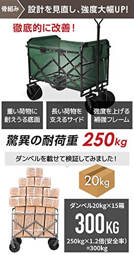 Amazon.co.jp: Pasinaz: キャリーカート