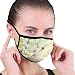 Produktbild Einstellbare Anti-Staub-Masken Modische Mundmasken, blühende Blumen auf dem Feld und Marienkäfer Japanische Blattblätter Naturgrafik, Anti-Staub-Maske für Männer und Frauen
