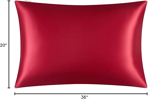 Vista 143 de DISANGNI Funda de almohada de seda de morera 100% natural para cabello y piel con cremallera oculta, 22 momme ambos lados