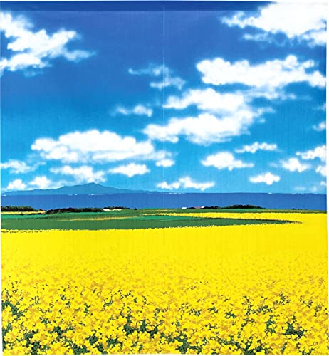 のれん工房 のれん 風景 おしゃれ 間仕切り カーテン 85cm幅 90cm丈 花畑と山 95458