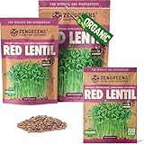 ZenGreens® - Graines de lentille rouge bio - Choisissez entre 10g, 200g et 500g - Graines de lentille rouge avec un taux de germination supérieur à 97% - Microgreens
