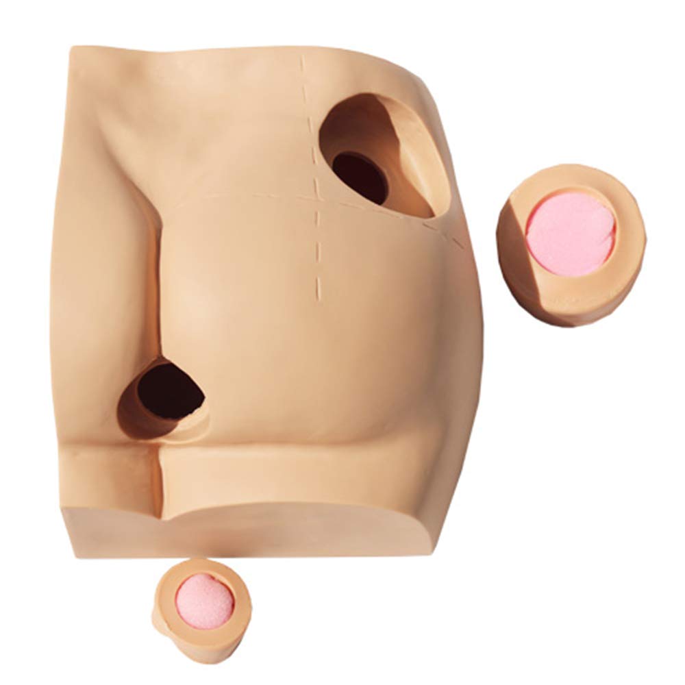 Sjdopulse Buttock Hip Injection Practice Model - Manikin Teaching Model - Vivid Hip Intramuscular Anatomical Model - For Medical Students Or Nurses