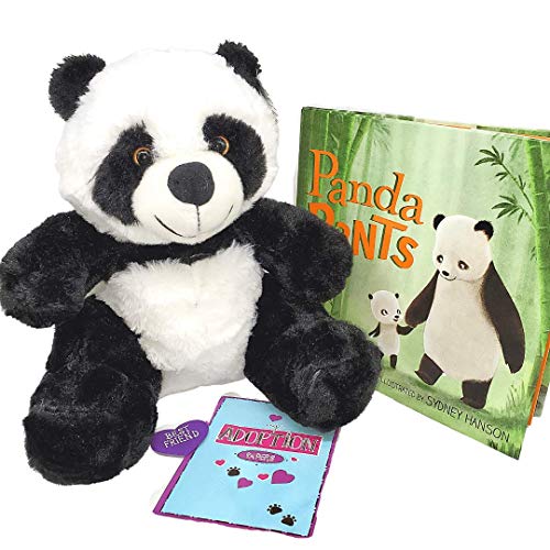 Book and Bear Panda Box Plush Building with Book Set for Ages 3-8