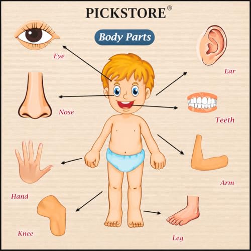 Image of Body Part Puzzle Kids Wooden Toys for Kids 3 + Jigsaw Puzzles for Adults Baby Learning Toys Educational Toys for 2 Board Game