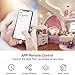 Smart Switch, Smart Light Touch Switch 2 Gang, Double Smart WiFi Light Switches, Smart Switch 2 Gang Compatible with Alexa and Google Home, Neutral Wire Needed, No hub Required (2Gang)