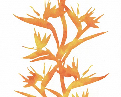 A.S. Création papel pintado Wallness naranja blanco 10,05 m x 0,53 m 813251