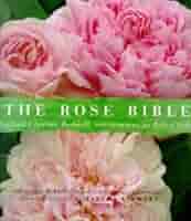 Amazon.co.jp: The Rose Bible : 本