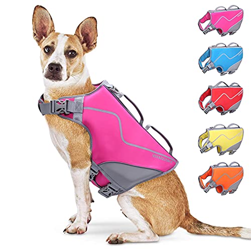 Top 10 Best Dog Life Jacket of 2021 Review Best Pet Pro