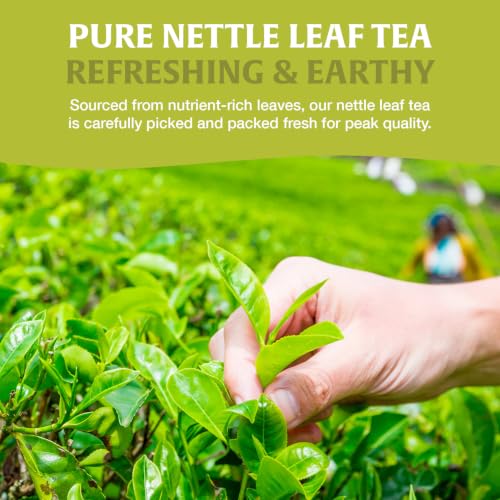 Image of HANDPICK Nettle Leaf Tea (40 Tea Bags) 100% Pure Leaf Tea, No Additives