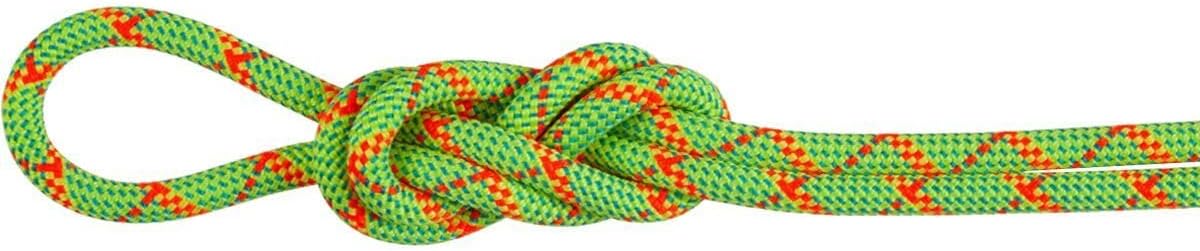 Mammut, 8.0 Alpine Core Protect Dry Rope