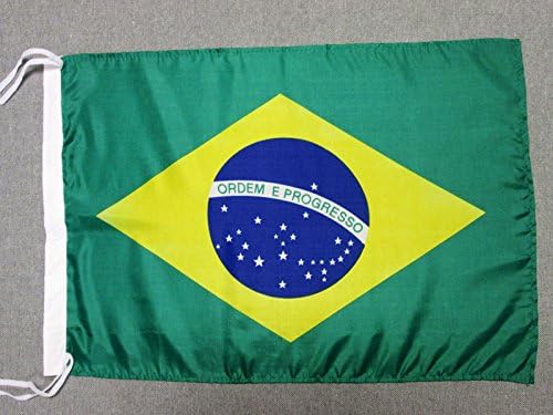 AZ FLAG - Brazil Flag - 18'' x 12'' - Light Polyester Brazilian Small Banner with Two Cords - 18x12 in - 45x30 Cm