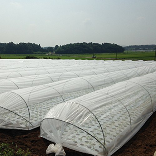 1500mm × 100m  Ռ25 EhN[ Ռlbg  JX ANCI ^ s