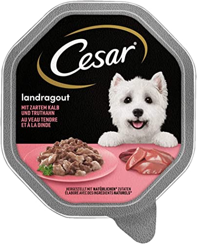 Cesar Hundefutter Nassfutter Landküche Kalb & Truthahn, 7 er Pack, (7 x 2 Schalen x 150 g)