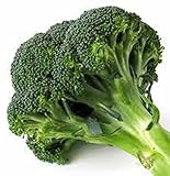 Broccoli Calabrese 25 Heirloom Seeds Non GMO
