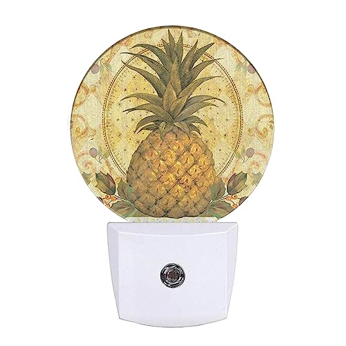 Image of EKOBLA Boho Pineapple Night Light, Summer Tropical Fruit Night Lights Plug Into Wall with Light Sensor for Bedroom, Kitchen and Home Decor