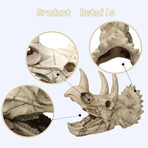 Tfwadmx Bearded Dragon Tank Accessories Resin Dinosaur Triceratops Skull Reptiles Seagrass Hammock Habitat Decor… - Image 5