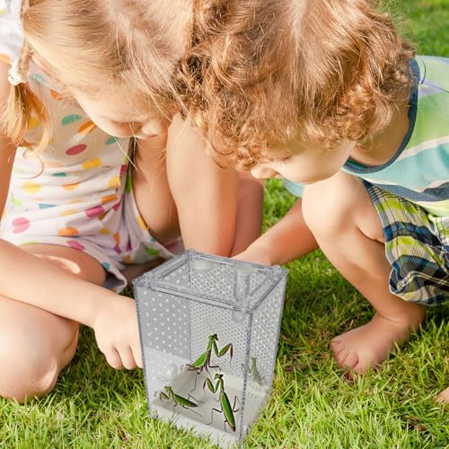 Recinto para arañas y mantis religiosas ideal para explorar la naturaleza en el aula 3