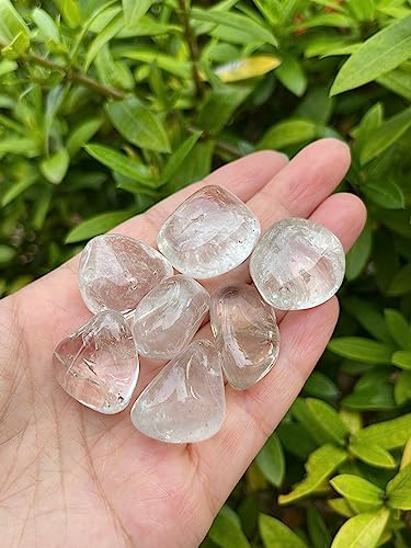 Image of GAF TREASURES 1 /2 LB Clear Quartz Tumbled Stones, Polished Natural Clear Quartz Gemstone, Clear Quartz Healing Crystals (Clear Quartz)