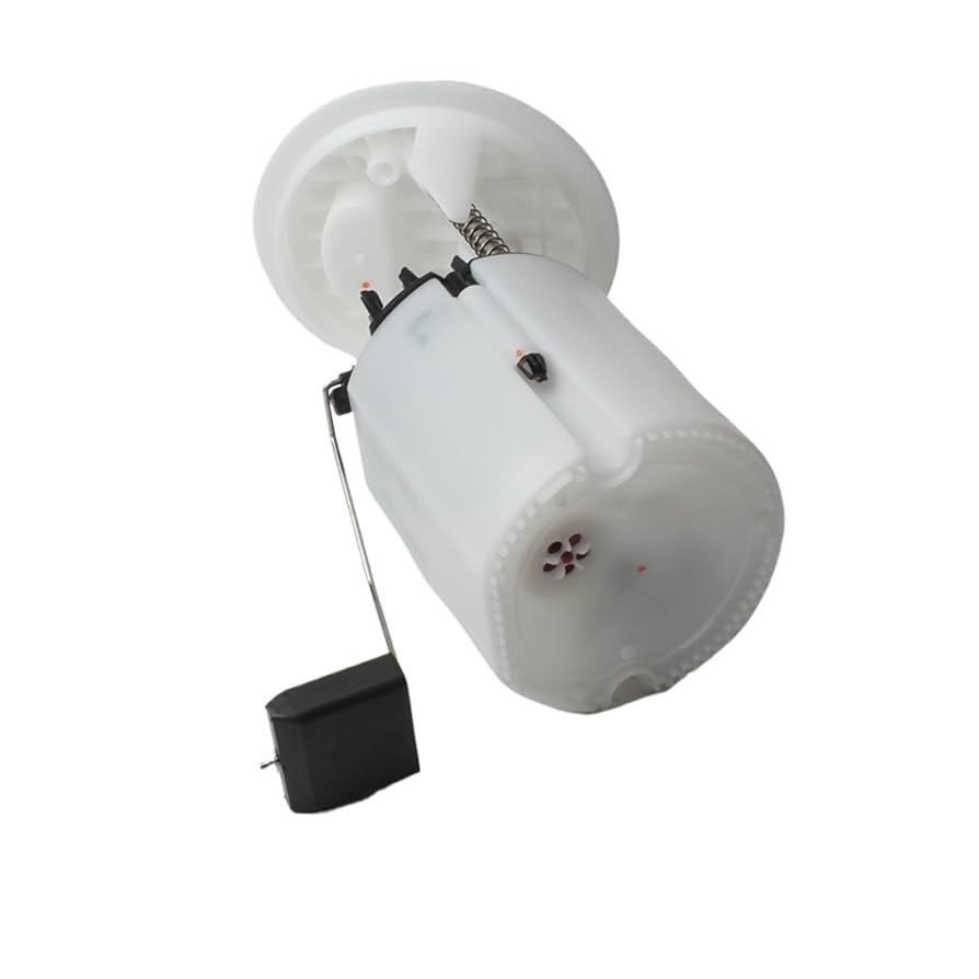 amn出品 フェイクファーショートコート【ZOZOTOWN限定アイテム】（その他