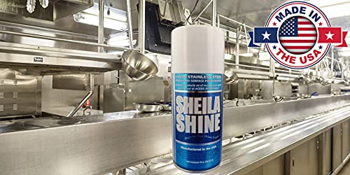 Sheila Shine Stainless Steel Polish And Cloth | Only The Sun Shines Brighter | Microfiber Cleaning Cloth | 10 Ounce Aerosol Can #TOP4