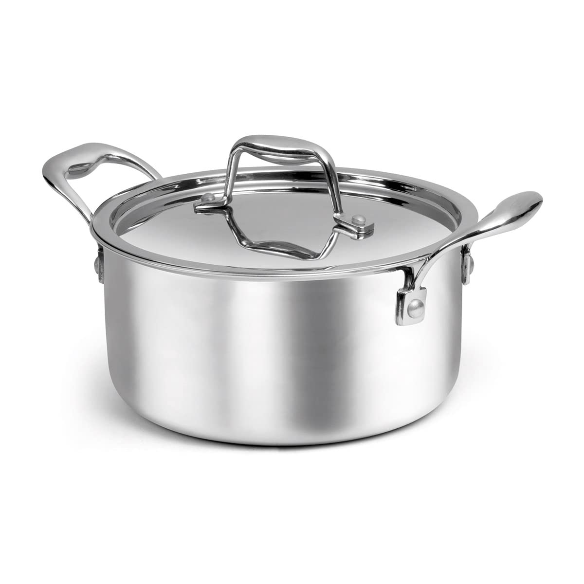 SignoraWare Artista Triply Stewpot Stainless Steel Induction Compatible Triply with Steel Lid (Induction and Gas Compatible), 26cm, Capacity 6700ml, Silver (B09YP6H298) Amazon Price History, Amazon Price Tracker