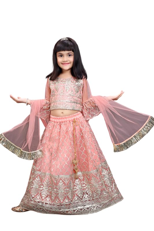 Girl's Princess Lehenga Choli Set - Soft Net, Ribbon Embroidery With Duppata, Readymade