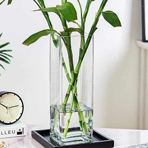 Vases pour Fleurs Vase Haut Carré, Vase en Verre Transparent Grand Vase Bouquet Vase Décoratif Soufflé À La Main, Adapté À L'Hôtel, Fête, Maison, Décoration 20/25/30/35/40CM,Clair,12 * 12 * 35CM