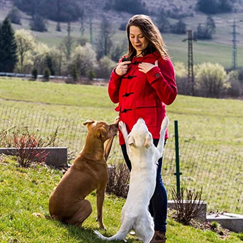 itrimaka Hunde-Clicker für das Training, Haustier-Clicker-Trainer | Hundeklicker für das Training,Clicker und Verhaltenshilfen für das Training von Haustieren, Katzen und Hunden, praktische
