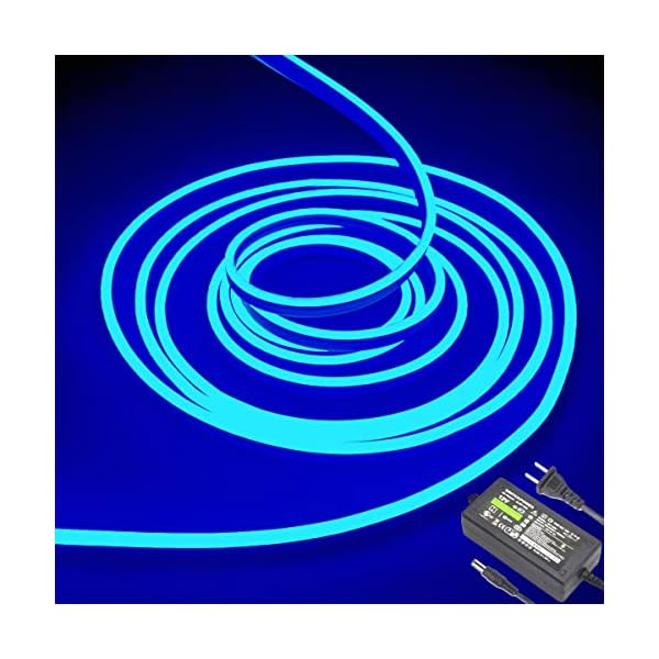 Dobestyou red neon led strip lights, 5m 12v dc 600 smd2835 leds waterproof rope light for indoor outdoor home decoration（ with power adapter）