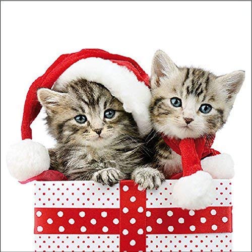 Preisvergleich Produktbild Ambiente Weihnachtservietten, 33 cm, Weihnachtskätzchen