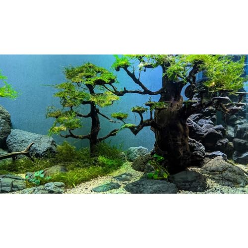 Image of Aquarium Background Green Grass Trees Aquarium Backdrop Vivid and Fresh Green Plants Tank Backdrop Wood and Pebble Reptile Habitat Terrarium Background Decor 24x12in