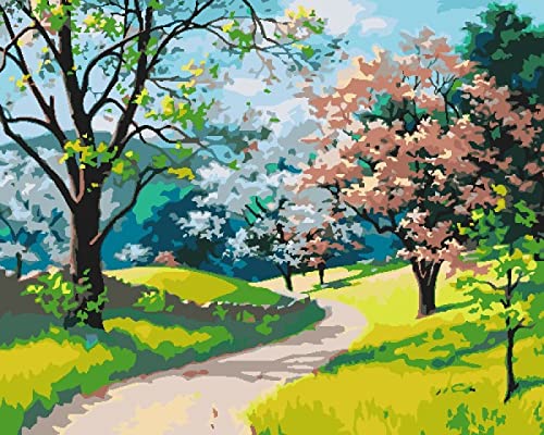 Peinture au diamant 5D kit complet de broderie route sur herbe 30x40 cm