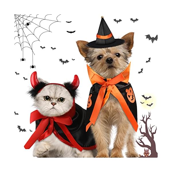 Potchen 5 pcs halloween vampire costume for cat, devil witch hat for cat, pet cat bat wings, cat pumpkin witch pet cape vampire costume for puppy cat cosplay dress up accessories - image 4