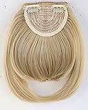 Clip in Pony Fringe Haarteil One Piece Hair Extension Natürliche Glatt Synthetik Haarverlängerung Aschblond Mix Bleichblond
