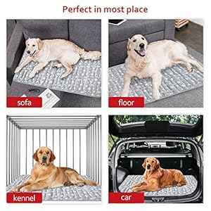 Dog-Crate-Mat-42-X-28-Soft-Dog-Bed-Mat-with-Cute-Prints-Personalized-Dog-Crate-Pad-Anti-Slip-Bottom-Machine-Washable-Kennel-Pad - Cucciolini Doodles   Dog-Crate-Mat-42-X-28-Soft-Dog-Bed-Mat-with-Cute-Prints-Personalized-Dog-Crate-Pad-Anti-Slip-Bottom-Machine-Washable-Kennel-Pad