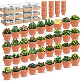 Shihanee 36 Pcs Bulk...