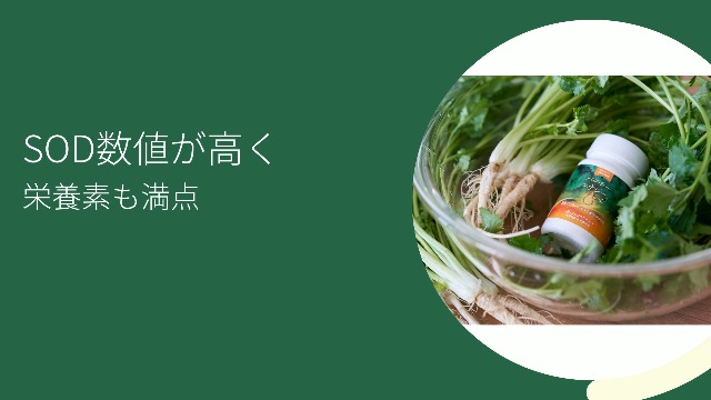 Amazon.co.jp: 西原健康生活研究所 パクチー エナジーゴールド【袋