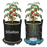 MADHOLLY Self Watering Pots for Indoor Plants with Grow Bags - 2 Pack 5 Gallon Thick Fabric Auto Irrigation Planter with Portable Handles, Water Storage Saucer, for Outdoor Vegetables, Herbs, Flower