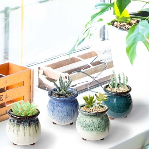 Casktcom 3 inch Glaze Handcraft Ceramic Pot Set, Tiny Cactus Planter with Drainage, Mini Cactus Pots Desk Shelf Decor, Cute Set of 4 Succulent Planter Pots Casktcom 3 inch Glaze Handcraft Ceramic Pot Set, Tiny Cactus Planter with Drainage, Mini Cactus Pots Desk Shelf Decor, Cute Set of 4 Succulent Planter Pots