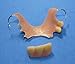 Denture Repair Lab - Repair Broken Denture - Cracked Denture Repair