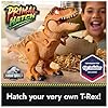 Primal Hatch Jurassic World Interactive Toy Dinosaur & Egg, Hatch & Train Your own Baby Dino with 100+ Sounds & Reactions, Kids Toys for Boys & Girls Aged 5 & Up #4