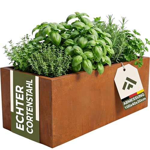novaterra Premium Cortenstahl Hochbeet - B 100 cm x T 40 cm x H 30 cm - extrem langlebig & witterungsbeständig - Moderne Gartenbegrünung für Gemüse Kräuter & Blumen