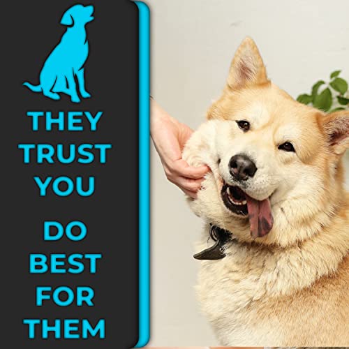 Pin Comb by H&H Pets - Upgraded Rubber Handle Comb with Long and Short Teeth for Dogs & Cats, Grooming Supplies, 1 Count (Pack of 1)