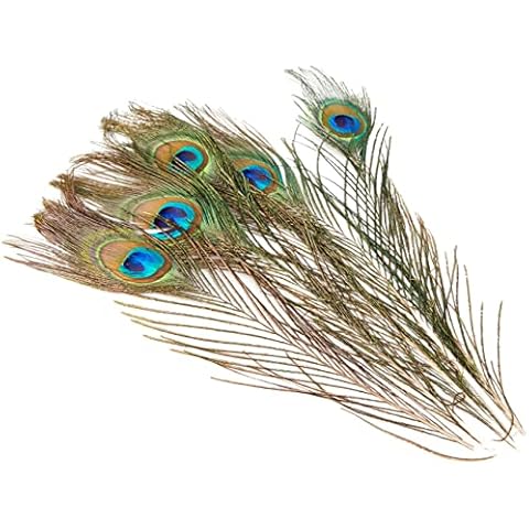 Efco 1003410 Peacock 200-300 mm 5 pcs, Feathers, Green, 12 x 5 x 2 cm Cover