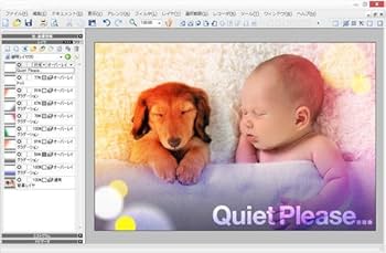 Amazon.co.jp: Paintgraphic 4 Pro(最新) | 写真・画像編集