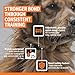 SportDOG Brand® YardTrainer 100S Remote Trainer - Shock Collar for Stubborn Dogs - Train with Tone, vibrate, or Static