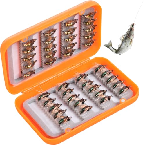 EHERDM A Box of 40pcs Fly Fishing Flies Mini Gnat Lures Hand Tied Steel Head Baits for Freshwater and Saltwater Golden and Green