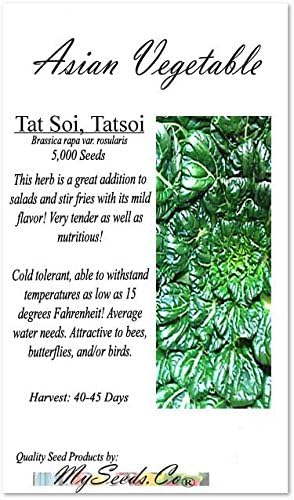 Vista 2 de Paquete grande - Semillas sin transgénicos de MySeeds.Co