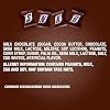 SNICKERS Minis Size Milk Chocolate Candy Bars Bulk Pack, 20 Pound Box
